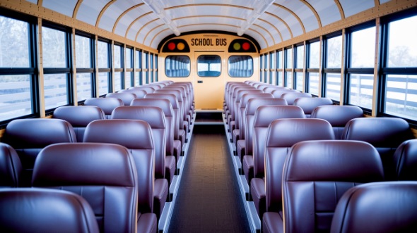 school bus rental rental warren