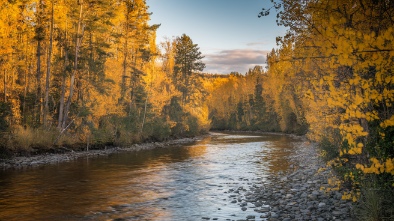stoney creek